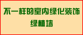 淘寶店